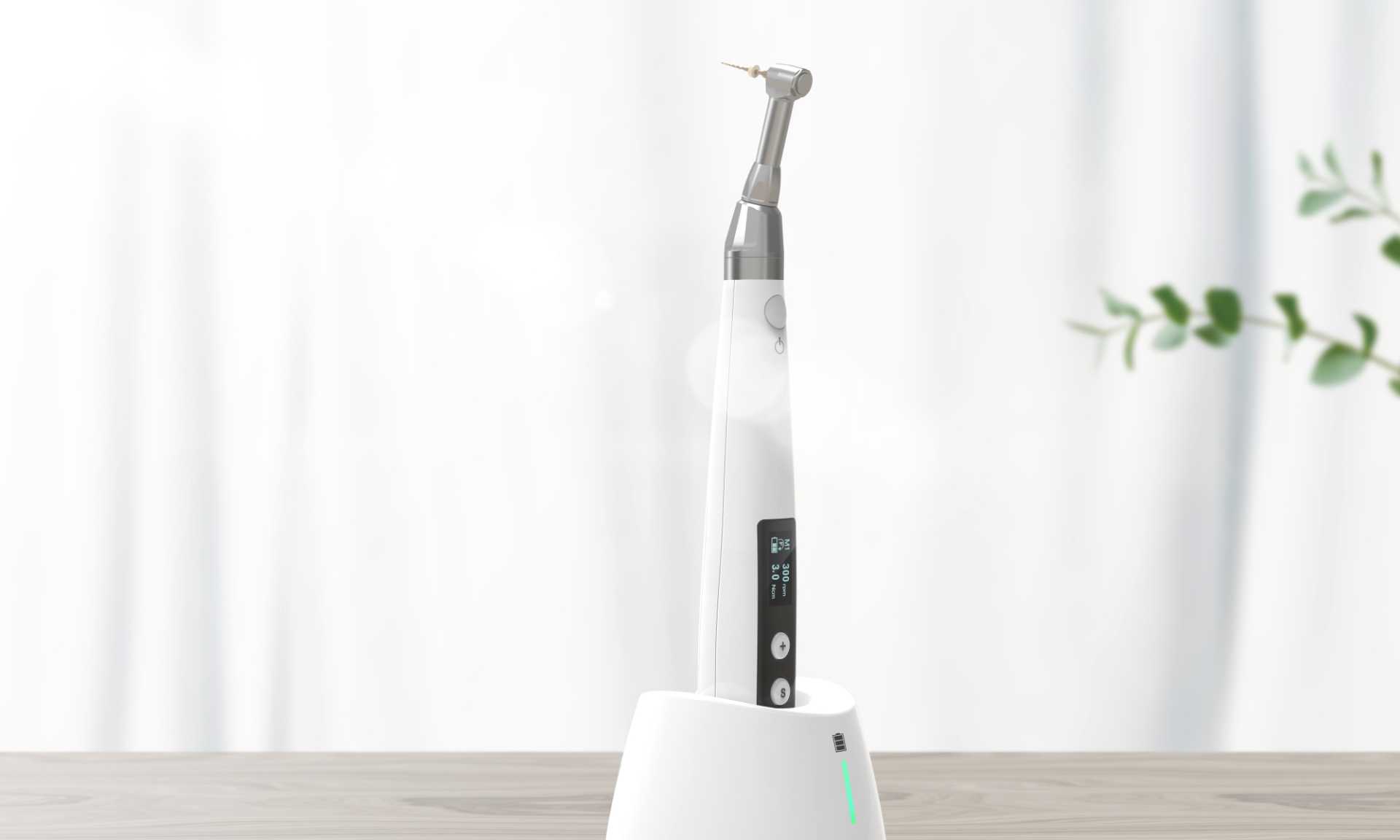 ENDOMOTOR - Imagen 6