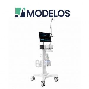 MODELOS