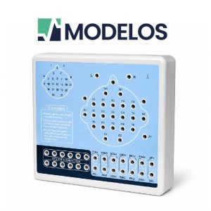MODELOS