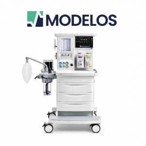 MODELOS