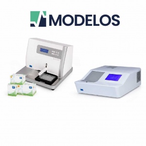 MODELOS